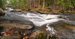51  CW691-Rapids-at-Bicknell.jpg